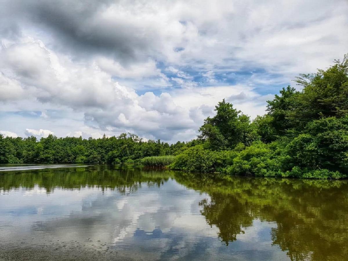 Geo Palace Kolkheti National Park Poti Ngoại thất bức ảnh