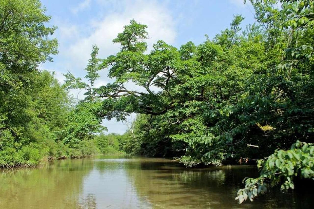 Geo Palace Kolkheti National Park Poti Ngoại thất bức ảnh