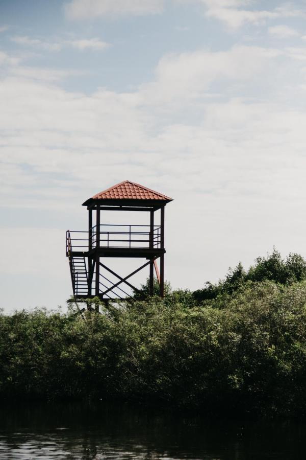 Geo Palace Kolkheti National Park Poti Ngoại thất bức ảnh